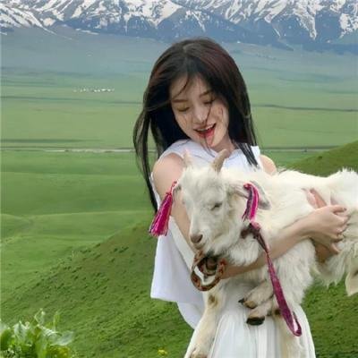 狐王殿下恋爱了